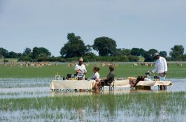 botswana-custom-safari