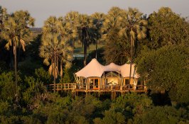 botswana-safari-hotels