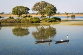 private botswana safari okavango delta