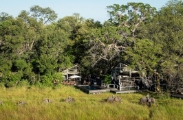 Classic Safari Camp in the Okavango Delta