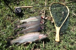 Fishing in Africa Trips