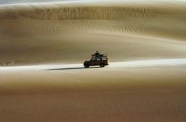 desert game drive in Africa