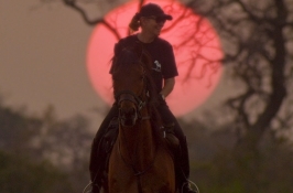 Horseback Riding Safaris Africa
