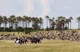 Horseback Riding Safaris Africa