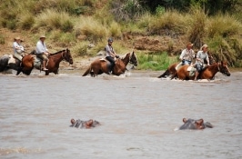 Horseback Riding Safaris Africa hippos in river