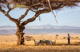 safari-kenya-africa