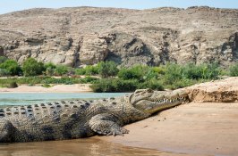 custom-namibia-safari-africa