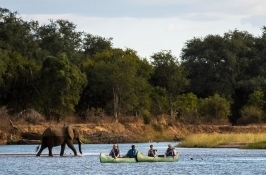elephant and canoes private Zimbabwe safari